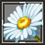 icon_5283.png