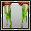 icon_6215.png