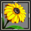 icon_5286.png