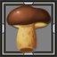 icon_5695.png
