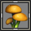 icon_5004.png