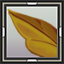 icon_5855.png