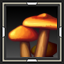 icon_5002.png