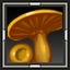 icon_5007.png