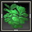 icon_6642.png