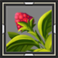 icon_6692.png