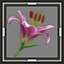 icon_6693.png