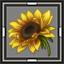 icon_6694.png