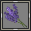 icon_6695.png